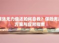网贷无力偿还如何自救？保险兜底方案与应对指南
