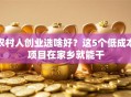 农村人创业选啥好？这5个低成本项目在家乡就能干