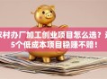 农村办厂加工创业项目怎么选？这5个低成本项目稳赚不赔！