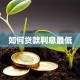 如何贷款利息最低