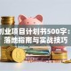 创新创业项目计划书500字：高效落地指南与实战技巧