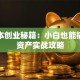 零成本创业秘籍：小白也能搞的轻资产实战攻略