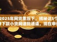 2025年网贷重压下，揭秘这5个好下款小贷网速批通道，现在申请门槛低至惊人！