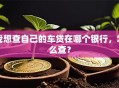 我想查自己的车贷在哪个银行，怎么查？
