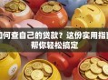 如何查自己的贷款？这份实用指南帮你轻松搞定