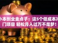 小本创业金点子：这5个低成本冷门项目 轻松月入过万不是梦！