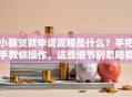 小额贷款申请流程是什么？手把手教你操作，这些细节别忽略能少走弯路