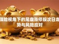 保险视角下的尾盘涨停股次日走势与风险应对