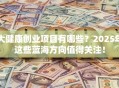 大健康创业项目有哪些？2025年这些蓝海方向值得关注！