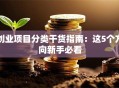 创业项目分类干货指南：这5个方向新手必看
