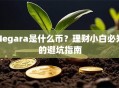 Negara是什么币？理财小白必知的避坑指南
