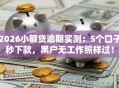 2026小额贷逾期实测：5个口子秒下款，黑户无工作照样过！