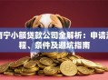 南宁小额贷款公司全解析：申请流程、条件及避坑指南
