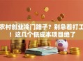 农村创业冷门路子？别急着打工！这几个低成本项目绝了