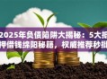 2025年负债陷阱大揭秘：5大抵押借钱绵阳秘籍，权威推荐秒批到账！