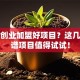 在家创业加盟好项目？这几个靠谱项目值得试试！