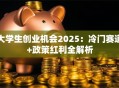 大学生创业机会2025：冷门赛道+政策红利全解析