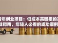 青年创业项目：低成本高回报的实战指南，年轻人必看的成功案例！