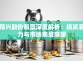 昂兴股份股票深度解析：投资潜力与市场前景展望