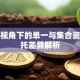基金视角下的单一与集合资金信托差异解析