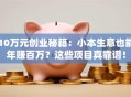 10万元创业秘籍：小本生意也能年赚百万？这些项目真靠谱！