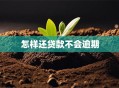 怎样还贷款不会逾期