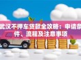 武汉不押车贷款全攻略：申请条件、流程及注意事项
