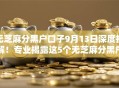 无芝麻分黑户口子9月13日深度拆解!专业揭露这5个无芝麻分黑户口子借钱口子 无芝麻分黑户口子9月13日深度拆解!专业揭露这5个无芝麻分黑户口子借钱口子