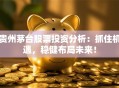 贵州茅台股票投资分析：抓住机遇，稳健布局未来！