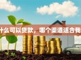 什么可以贷款，哪个渠道适合我？