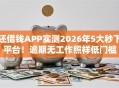 还借钱APP实测2026年5大秒下平台！逾期无工作照样低门槛