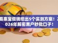 易惠宝借钱挖出5个实测方案！2026年解密黑户秒批口子！
