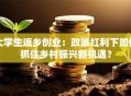 大学生返乡创业：政策红利下如何抓住乡村振兴新机遇？