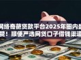 网络奇葩贷款平台2025年圈内盛赞！顺便严选网贷口子借钱渠道很奇葩