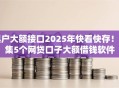 黑户大额接口2025年快看快存！归集5个网贷口子大额借钱软件
