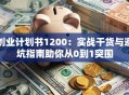 创业计划书1200：实战干货与避坑指南助你从0到1突围