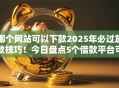 哪个网站可以下款2025年必过放款技巧！今日盘点5个借款平台可以下款网贷口子