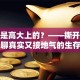 创业是高大上的？——撕开滤镜，聊聊真实又接地气的生存指南