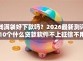 钱满袋好下款吗？2026最新测评10个什么贷款软件不上征信不用还