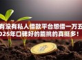 有没有私人借款平台想借一万五2025年口碑好的能挑的真挺多！本文为您精心呈现这五个借款平台！