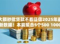 大额秒批贷款不看征信2025年最新数据！本篇聚合5个500 1000必下贷款