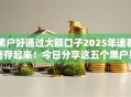 黑户好通过大额口子2025年速看速存起来！今日分享这五个黑户易过网贷大额软件