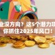 想创业没方向？这5个潜力项目让你抓住2025年风口！