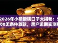 2026年小额借钱口子大揭秘：5000无条件放款，黑户逾期实测秒下！