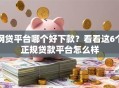 网贷平台哪个好下款？看看这6个正规贷款平台怎么样