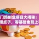 致富门路创业项目大揭秘：这些稳赚点子，零基础也能上手！