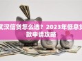 武汉信贷怎么选？2023年低息贷款申请攻略