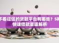不看征信的贷款平台有哪些？5种快速借款渠道解析