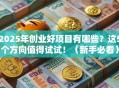 2025年创业好项目有哪些？这5个方向值得试试！（新手必看）