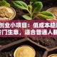 县城创业小项目：低成本稳赚的7个冷门生意，适合普通人翻身！